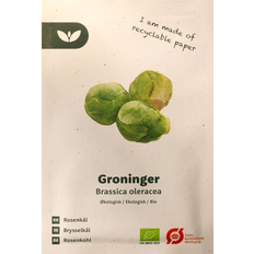 Bland Selv Frø Groninger Rosenkål Grøntsagsfrø