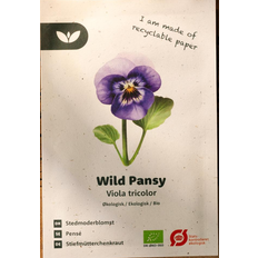 Bland Selv Frø Wild Pansy Stedmoderblomst Blomsterfrø