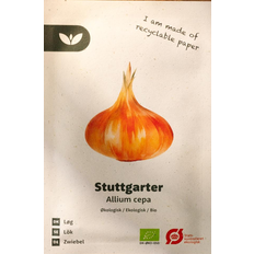 Bland Selv Frø Stuttgarter Løg Grøntsagsfrø