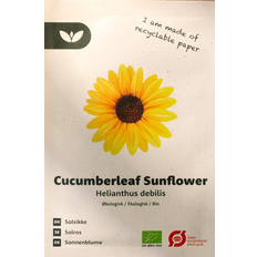 Bland Selv Frø Helianthus Debilis Solsikke Blomsterfrø