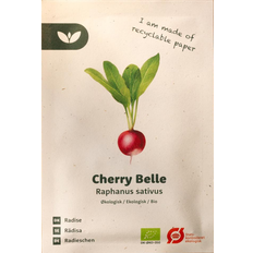 Bland Selv Frø Cherry Belle Radise Grøntsagsfrø