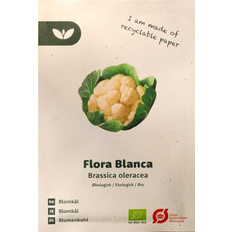 Bland Selv Frø Flora Blanca Blomkål Grøntsagsfrø