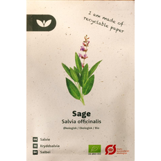 Bland Selv Frø Sage Salvie Blomsterfrø