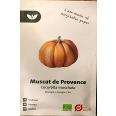 Bland Selv Frø Muscat de Provence Græskar Frugt- & Bærfrø