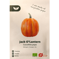 Bland Selv Frø Jack O’Lantern Græskar Frugt- & Bærfrø