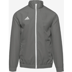 Ropa Adidas Chaqueta Entrada22 Gris Blanco - Grey/White