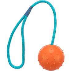 Hundespielzeuge Haustiere Trixie Ball on Rope Ø 6/30cm