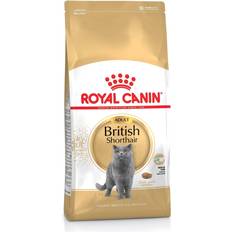 Royal canin cat food Royal Canin British Shorthair Adult 4kg