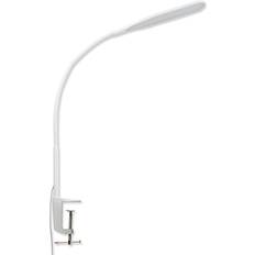 Daylight White