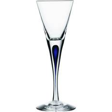 Stemmed Shot Glasses Orrefors Intermezzo Shot Glass 2fl oz