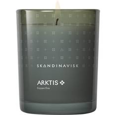 FSC (The Forest Stewardship Council) Doftljus Skandinavisk Arktis Icy Blue Doftljus 200g