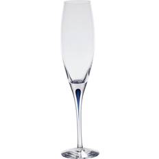 Mouth-Blown Kitchen Accessories Orrefors Intermezzo Champagne Glass 8.792fl oz 4pcs