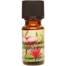 Unique Eukalyptusolie 100ml