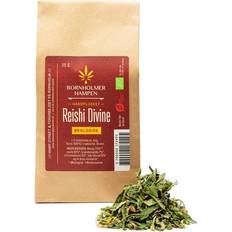 Reishi Divine