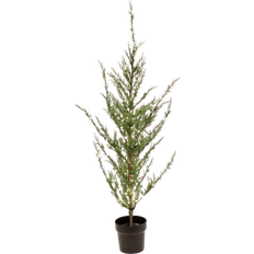 Led lys til planter Nordic Winter Cedar with LED lights Green Kunstig plante