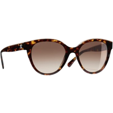 Butterfly Polarized 5414 1682/S9