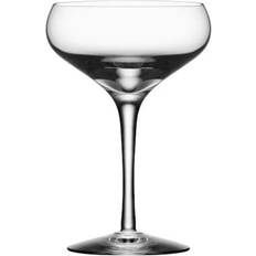 Orrefors more Orrefors More Champagne Glass 21cl 2pcs