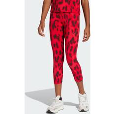 Adidas Legging Broeken adidas Future Icons 7/8 Leggings - Pure Ruby/Better Scarlet/Aurora Ruby/Black