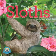 Workman Publishing Original Sloths Wall Calendar 2025