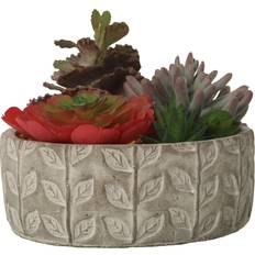 Alexandra House Living Dekorativ Plast Succulent Kunstig plante