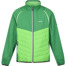 Regatta Mens Steren Hybrid Soft Shell Jacket - Field Green/Jasmine Green