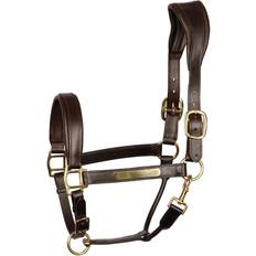 X-Full Brides Licol Cheval Cuir Anatomic - Marron