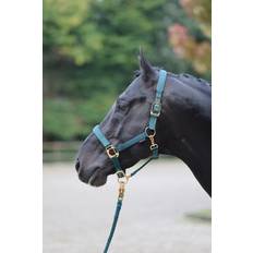 Cabestros para caballos Covalliero Cabestro para Caballos TopLine - Forest Dark Green