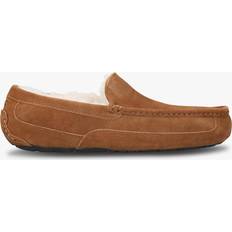 Men - Wool Slippers UGG Ascot Suede Slippers - Brown