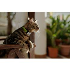 Kippy Gps Aktivitäts Halsband für Katzen Kippy
