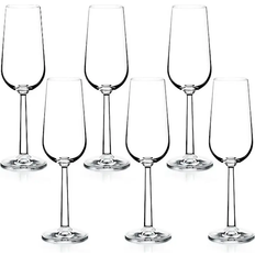 Rosendahl Samppanjalasit Rosendahl Grand Cru Champagne Glass 24cl 6pcs