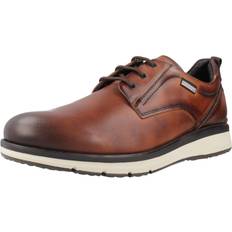 Herre Oxford Pikolinos Herresneaker - Brun