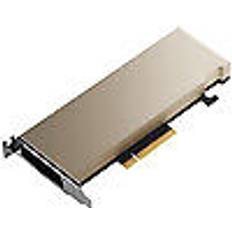 Nvidia Quadro Grafikkort HP NVIDIA A2 16GB PCIe Non-CEC Accelerator