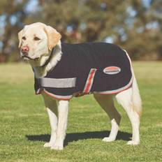 Pets Weatherbeeta Therapy-Tec Dog Coat Black Silver Red