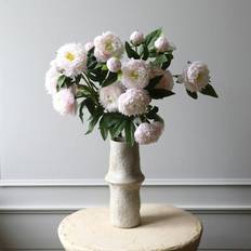 Buntar Snittblommor Peony Bouquet