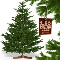 Large Premium Luxury Realistic Green/Brown