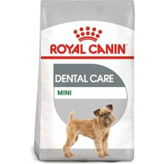 Royal canin dental Royal Canin Mini Dental Care 3kg