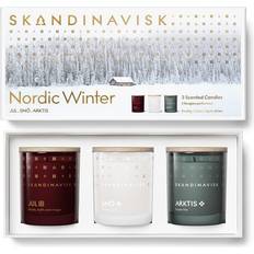 Skandinavisk Einrichtungsdetails Skandinavisk Nordic Winter Duftkerzen 804g 3Stk.