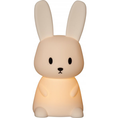 LED Functional Bunny