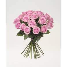 Rosor Snittblommor Interflora 20 rosa rosor