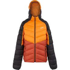 Regatta Dalent Hooded Insulated Jacket - Men's