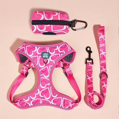 Temu Polyester Pet Walking Set of 3