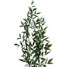 Interflora Extra Grönt