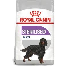 Kastroitu ja Steriloitu - Koiranruoka Lemmikit Royal Canin Maxi Sterilised Kuivaruoka 2 x 12 kg