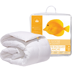 Canadian Down & Feather Company 650 Fill Power Goose 86.0 H x 64.0 W in White Duvet (218.4x)