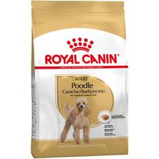 Royal Canin Koiranruoka Lemmikit Royal Canin Poodle Adult