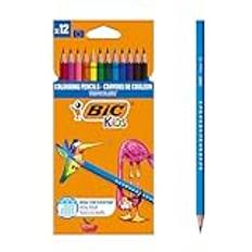 Bic Kids Tropicolors Colouring Pencils 12 Pack