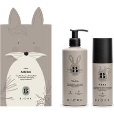 Björk Björk Växa Kids Box