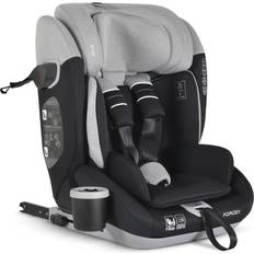 Kindersitze fürs Auto Cangaroo Force i-Size Grey