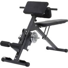 Workout Benches Exercise Benches Finnlo Ab & Back Trainer