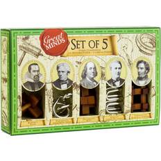 Bois Puzzles de QI Professor Puzzle Great Mens Minds Metal and Wood Puzzles Set of 5